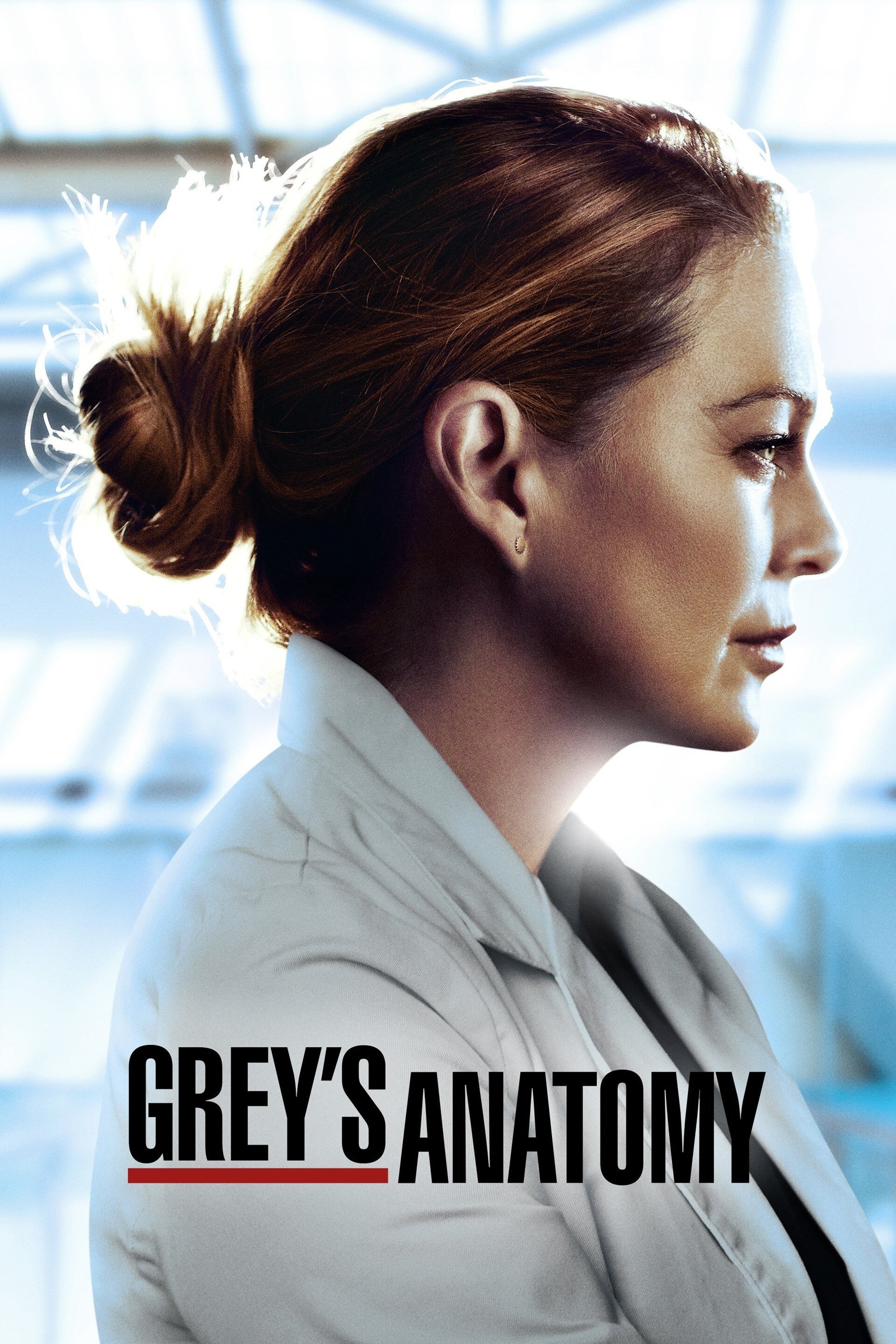 Grey's Anatomy - Season 17 [14156] (A1763988605) [[Shows]] --Plex--